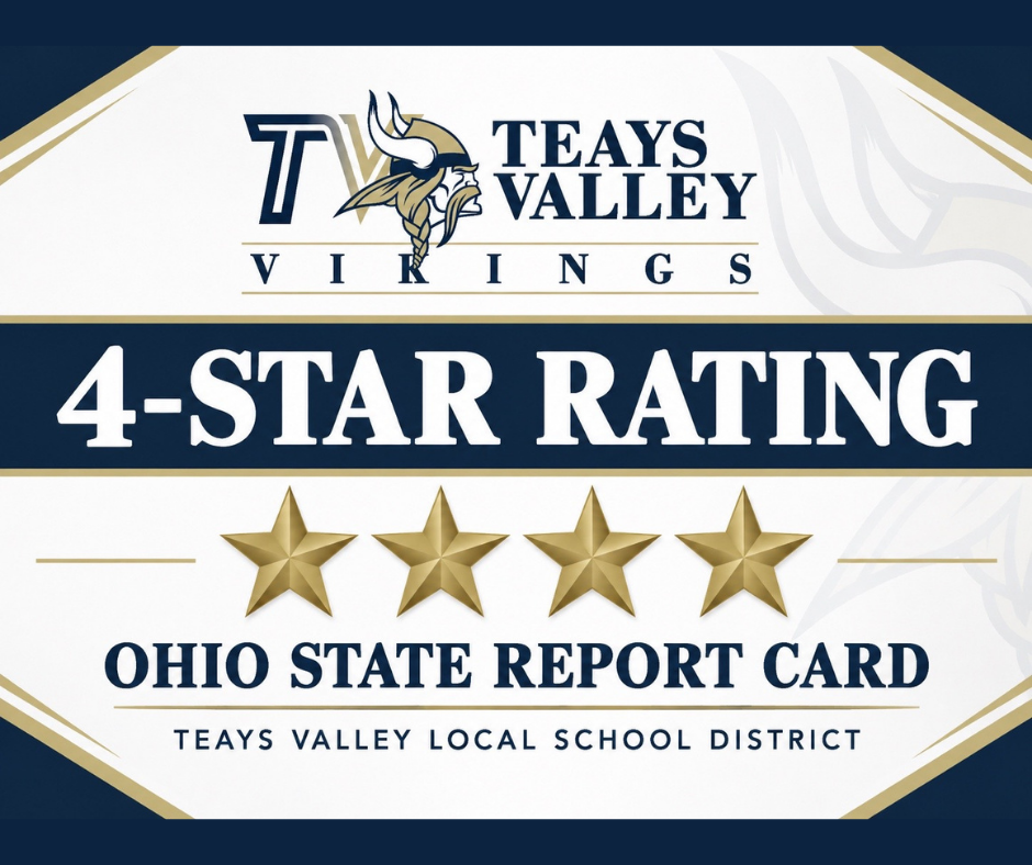A gold star-patterned badge with "TEAYS VALLEY VIKINGS" and "4-STAR RATING" in white on a blue background.