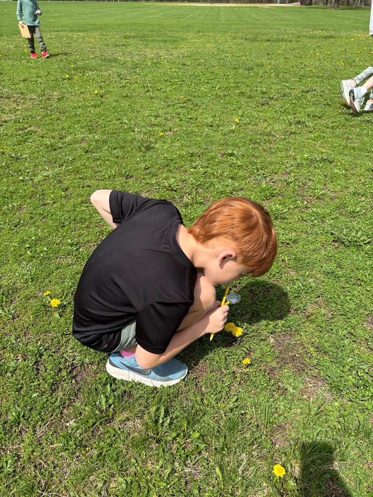 On Friday, Ms. Starks' class became scientists and ventured outside to explore the world around us! 🔎🌿  Students searched for biotic (living) things, like plants, insects, and animals, as well as abiotic (non-living) things, such as rocks, soil, water, and sunlight.  What a wonderful day of hands-on learning, observation, and discovery. Enjoy these special moments from our young scientists in action!