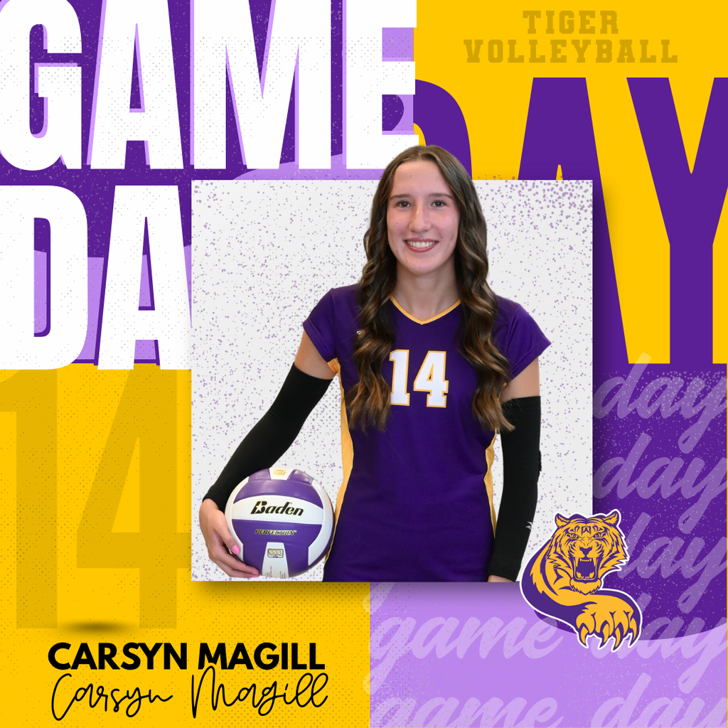 CARSYN (2)