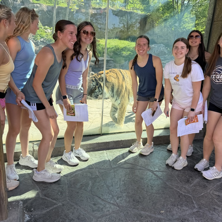 zoo