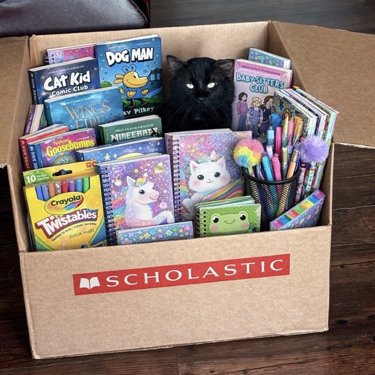 Hammer the cat- in box with books