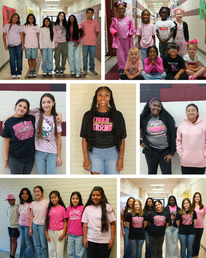 Pink Out Spirit Dress Up Collage