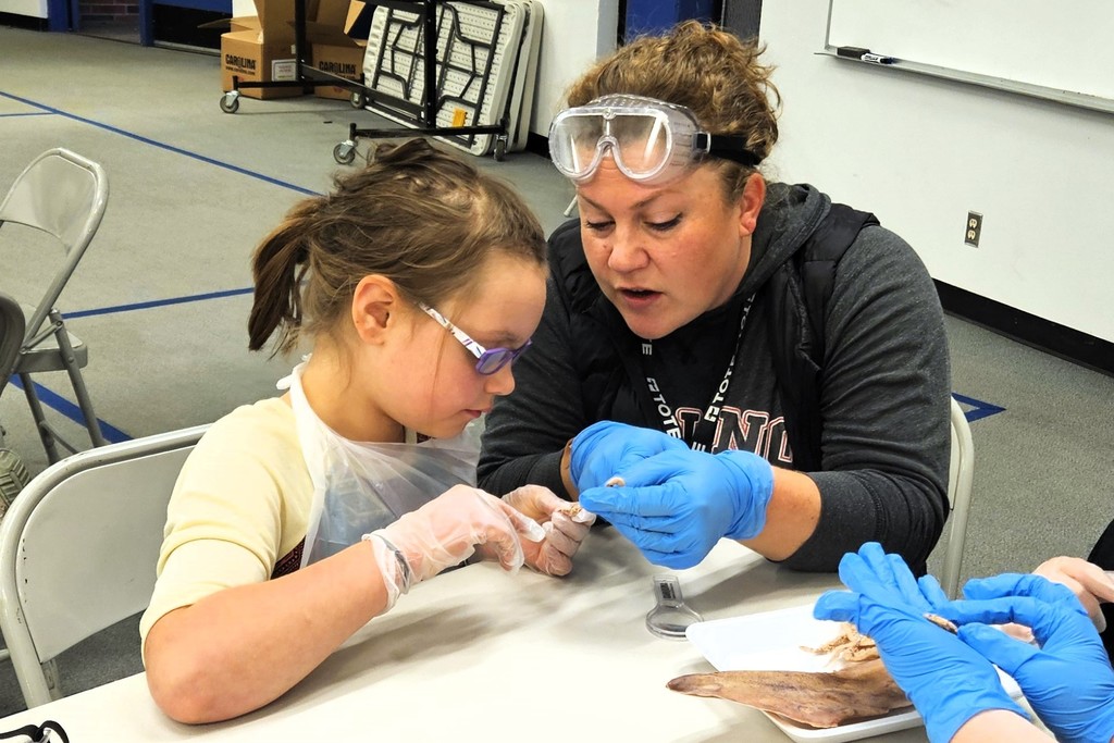 TES Squid Dissection