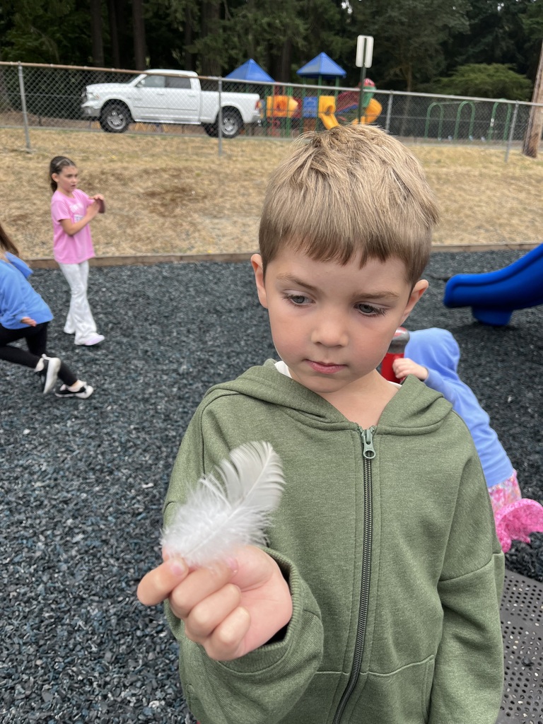 Feather