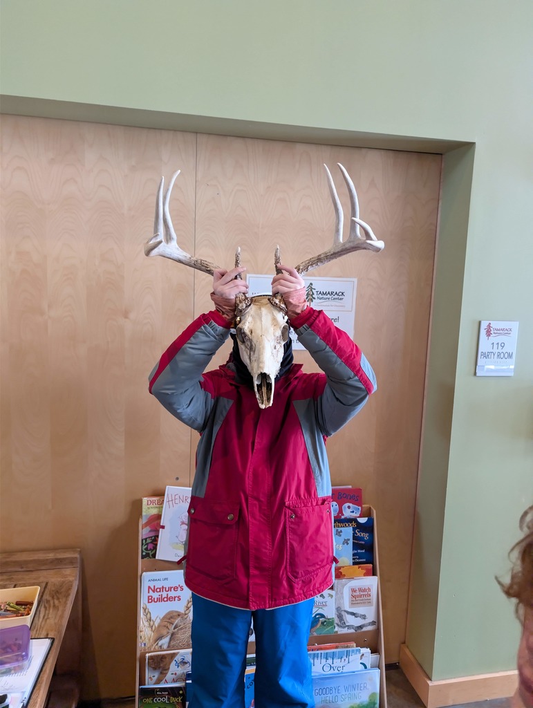 Student is holding an animal skulls with antlers over their face