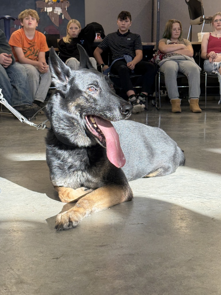 K9
