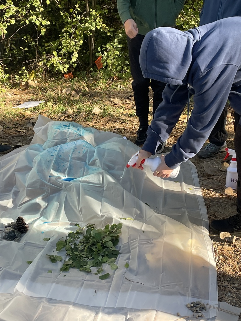 Tn student
