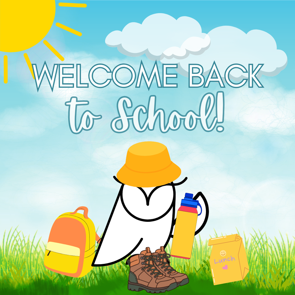 welcome back