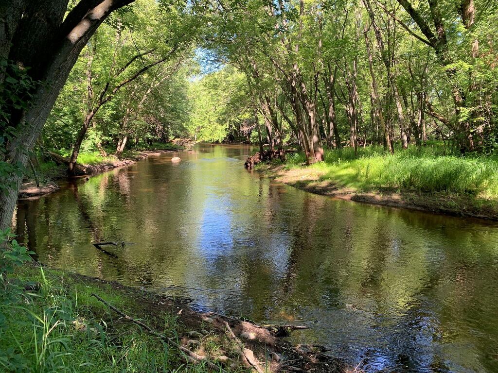 otsego