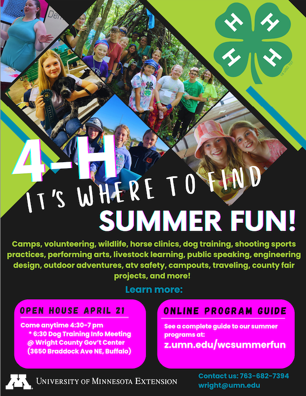 4-H Summer