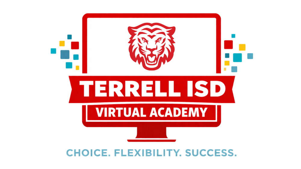 Virtual Academy