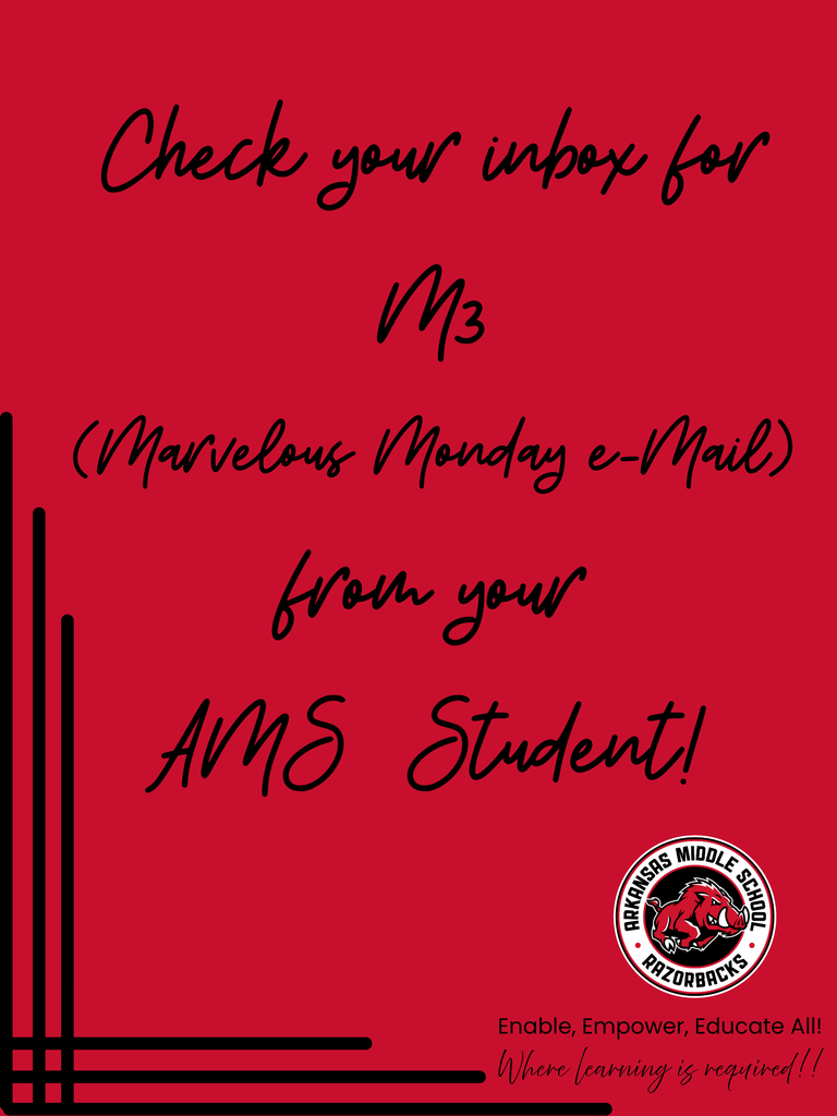 AMS M3 flyer