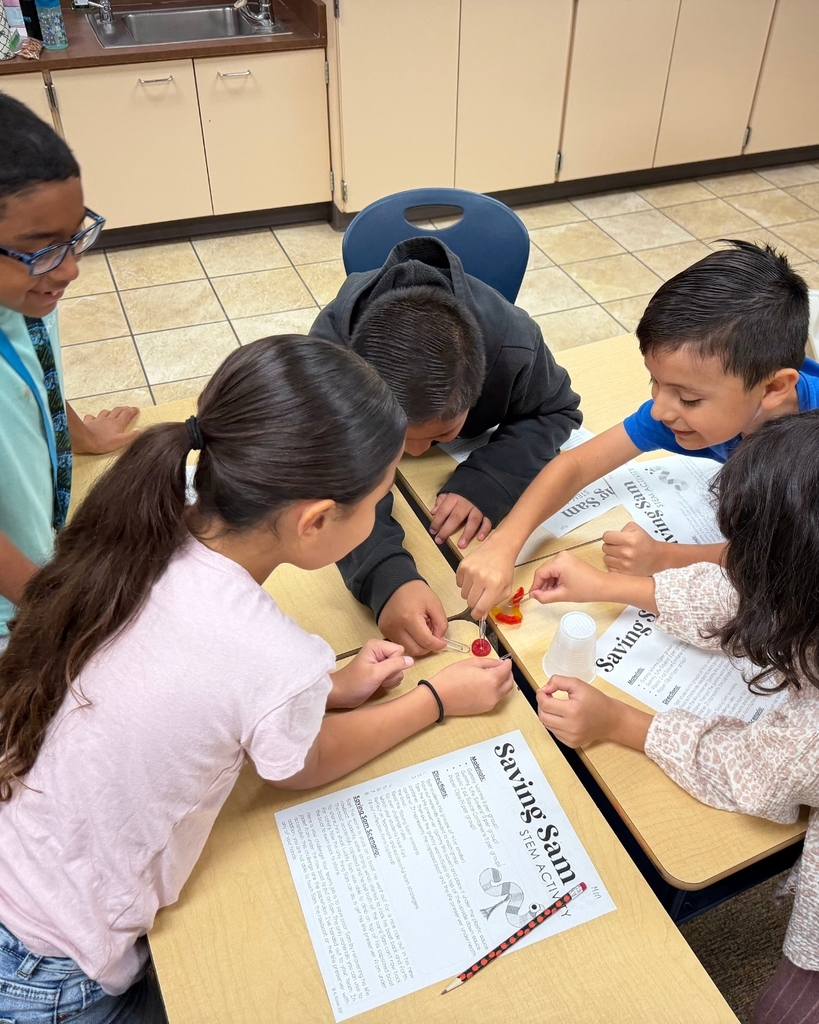 Students work together at their desks during the Saving Sam STEM activity.