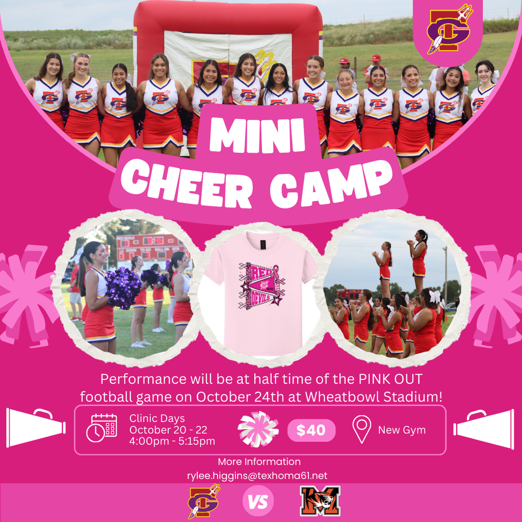 mini cheer camp