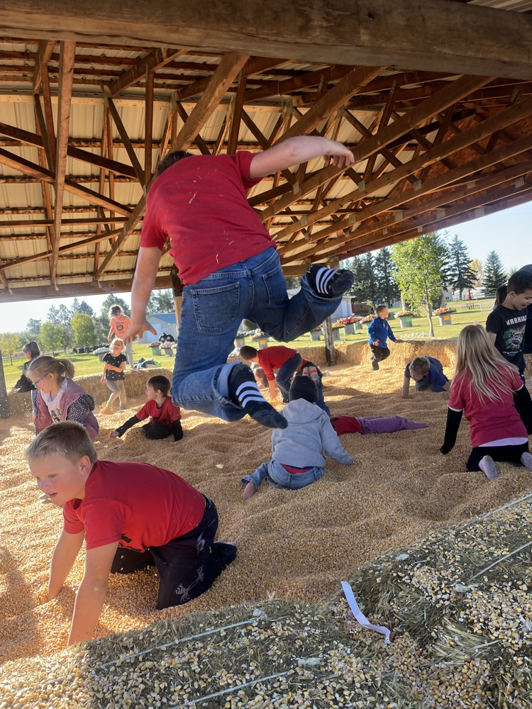 Berry Acres Pumpkin Patch