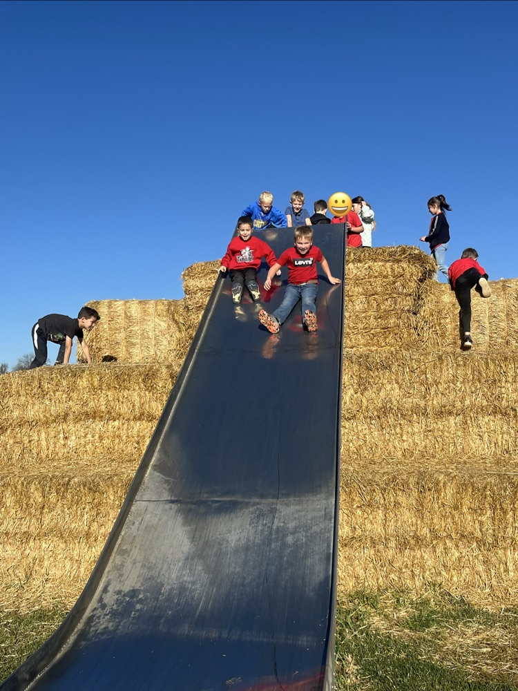 Berry Acres Pumpkin Patch