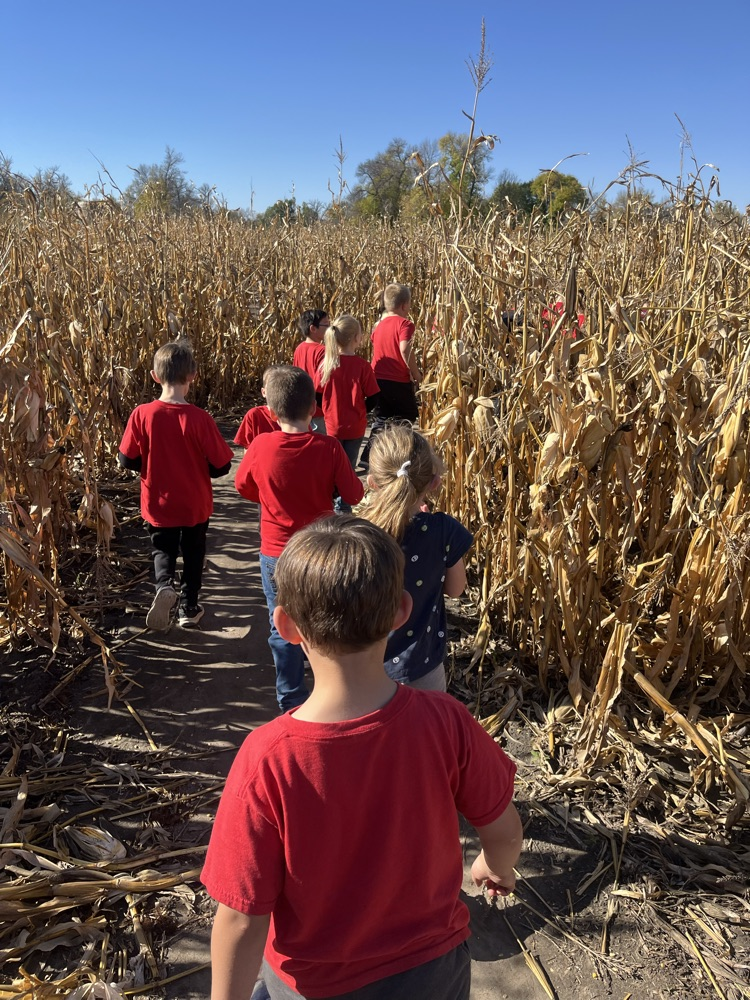 Berry Acres Pumpkin Patch