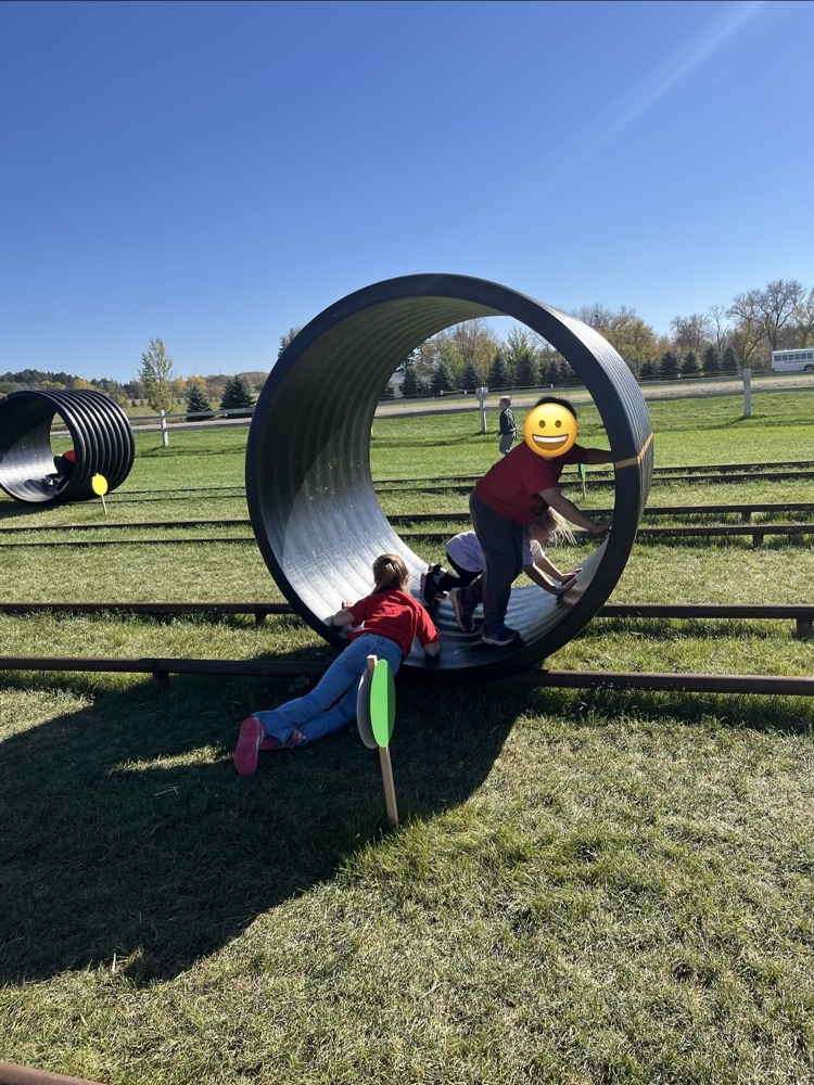Berry Acres Pumpkin Patch