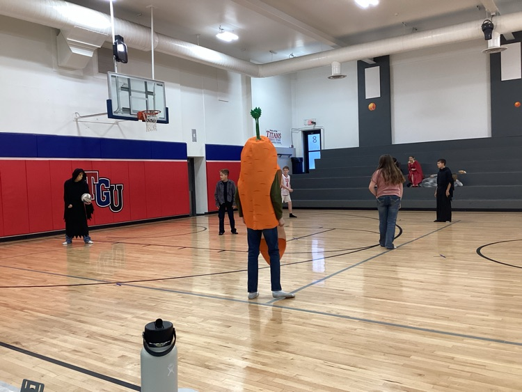 costume volleyball