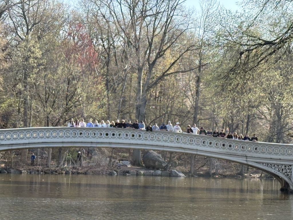 Bridge in Central Park
