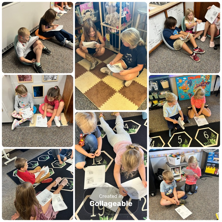 Partner Reading! 📖 