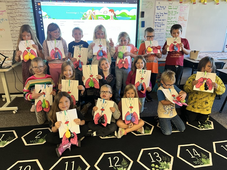 The Human Body project