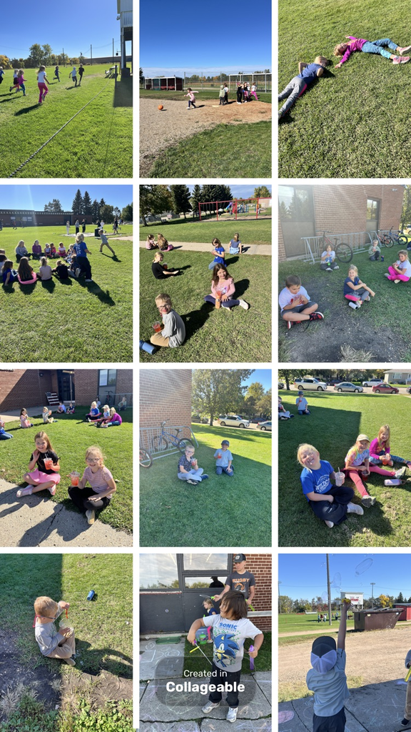 Field Day!