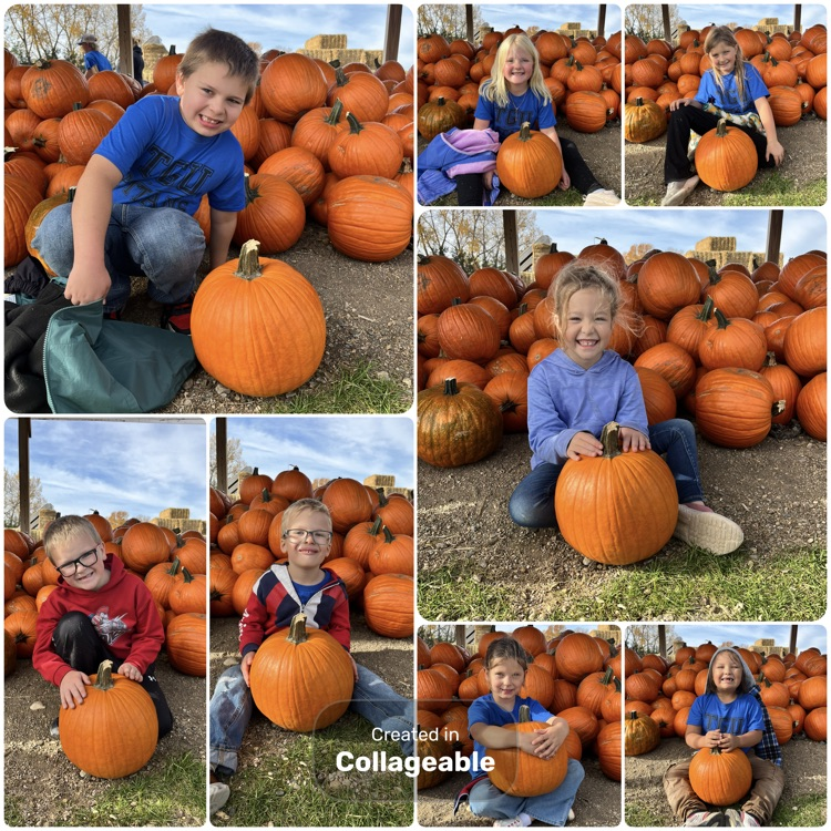 pumpkins!