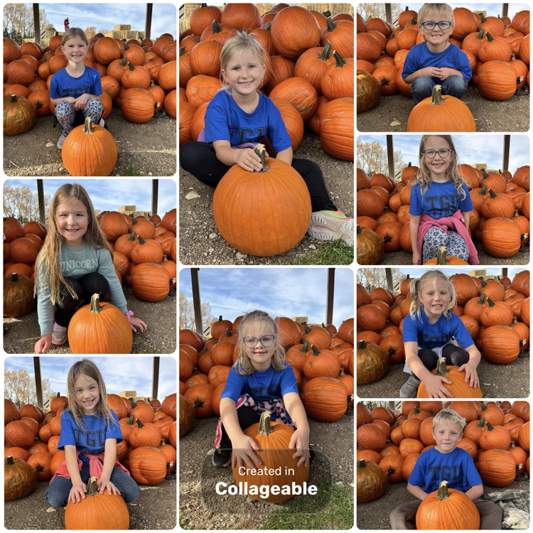 pumpkins!