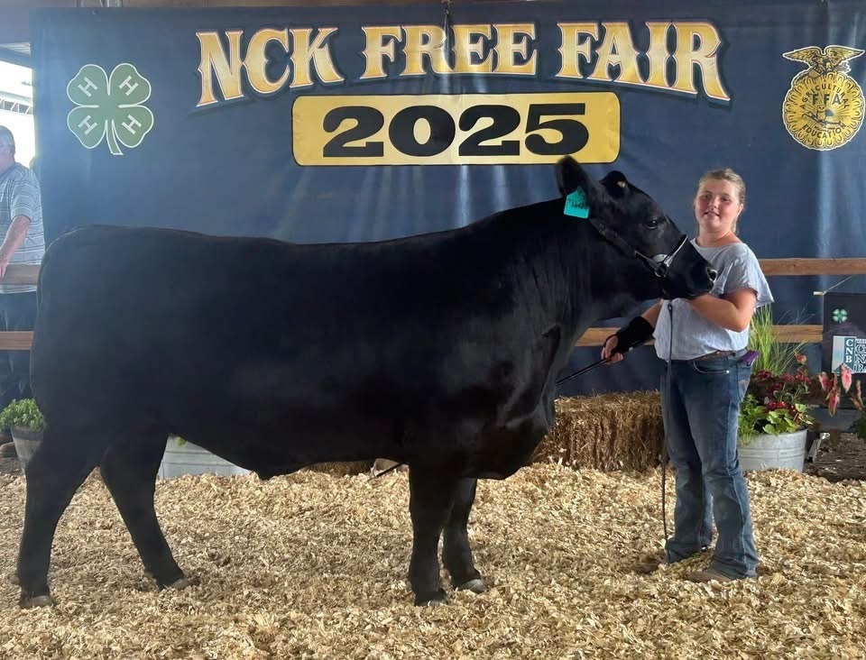 beef show