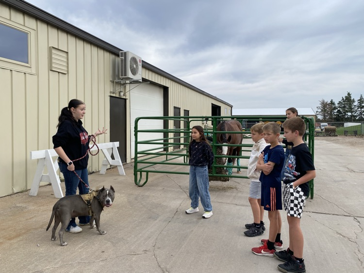 farm day