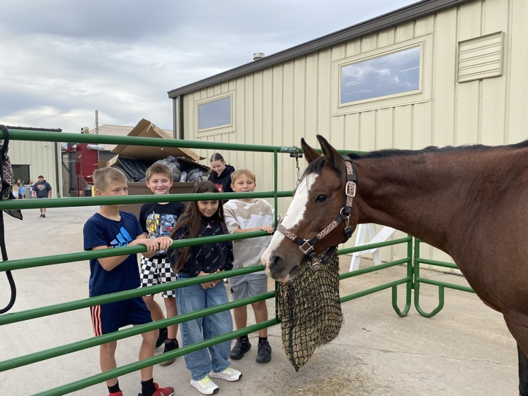 farm day