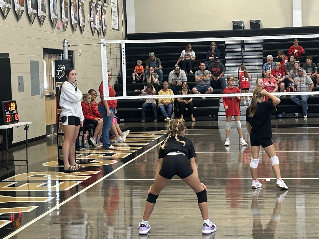 Volleyball