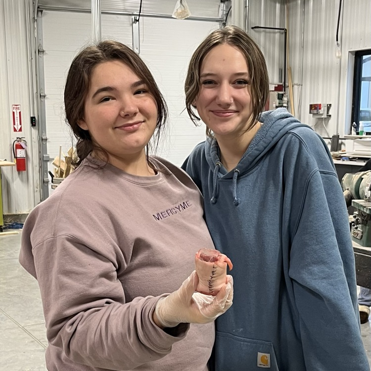Anessa and Kaelyn- top sutures