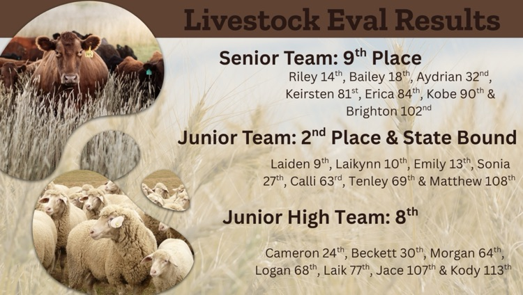 Congratulations Junior team and everyone else!