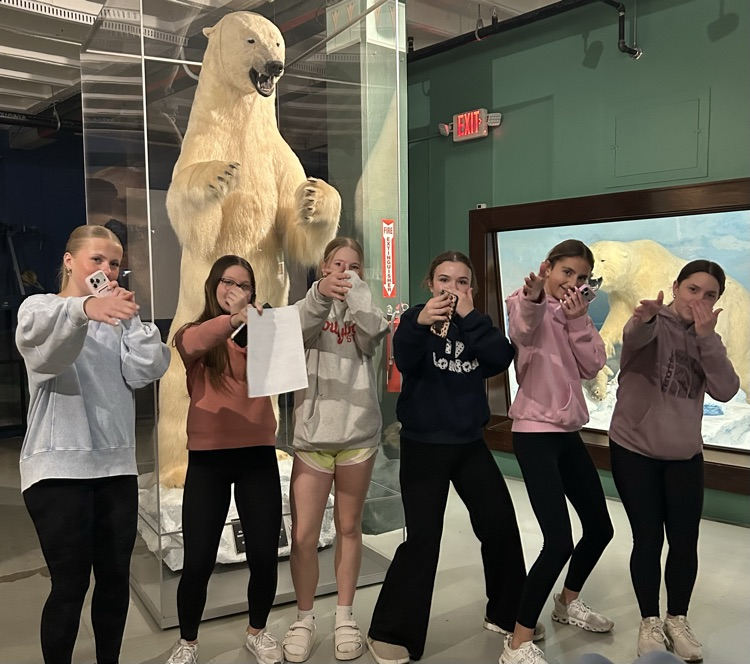 Polar Bear group photo
