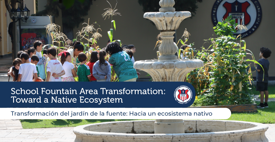 School Fountain Area Transformation