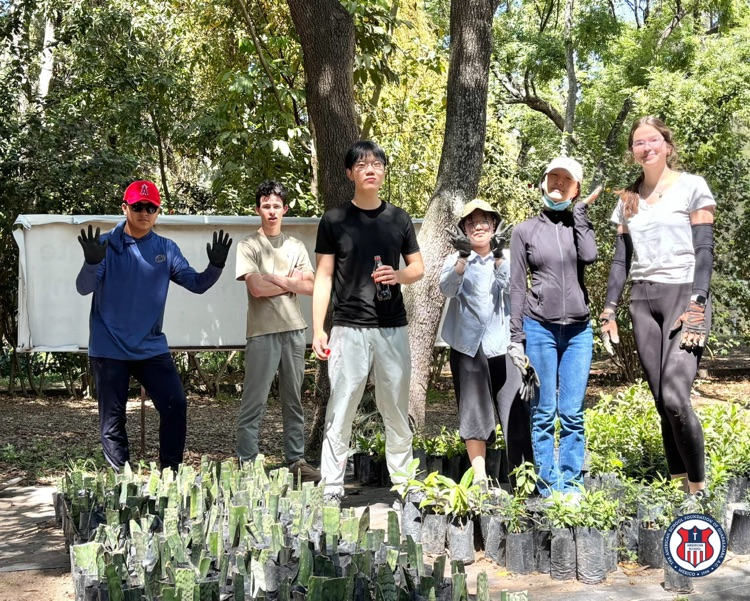 bosque urbano week without walls 2026