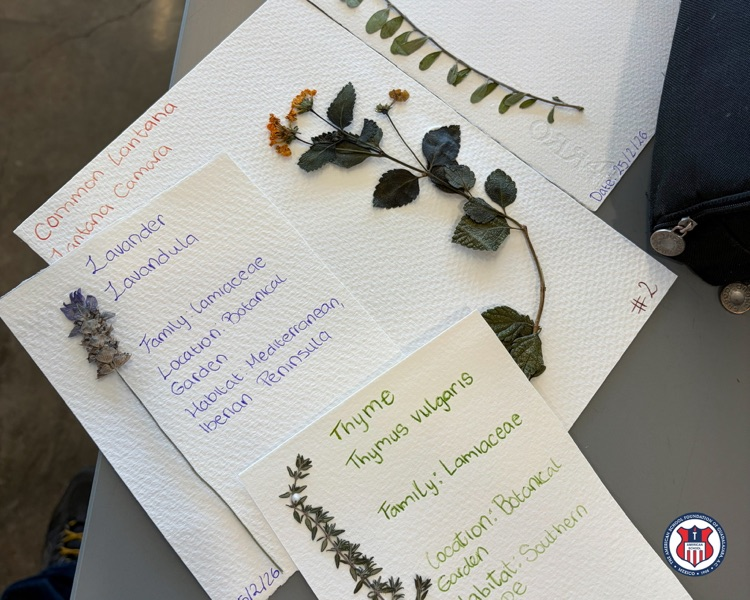 bosque urbano week without walls 2026