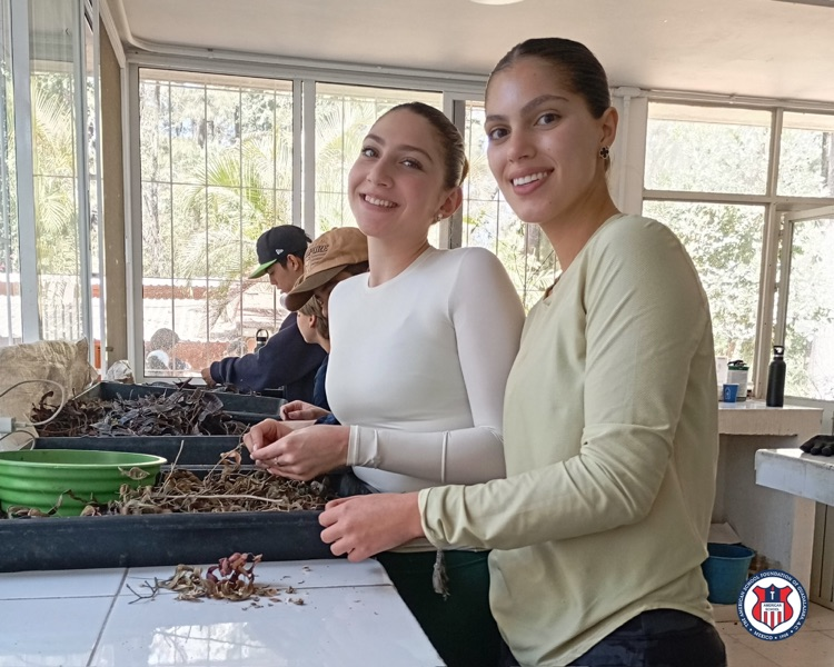 bosque urbano week without walls 2026