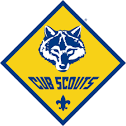 Cub Scouts
