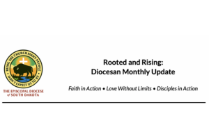 Diocesan Newsletter logo