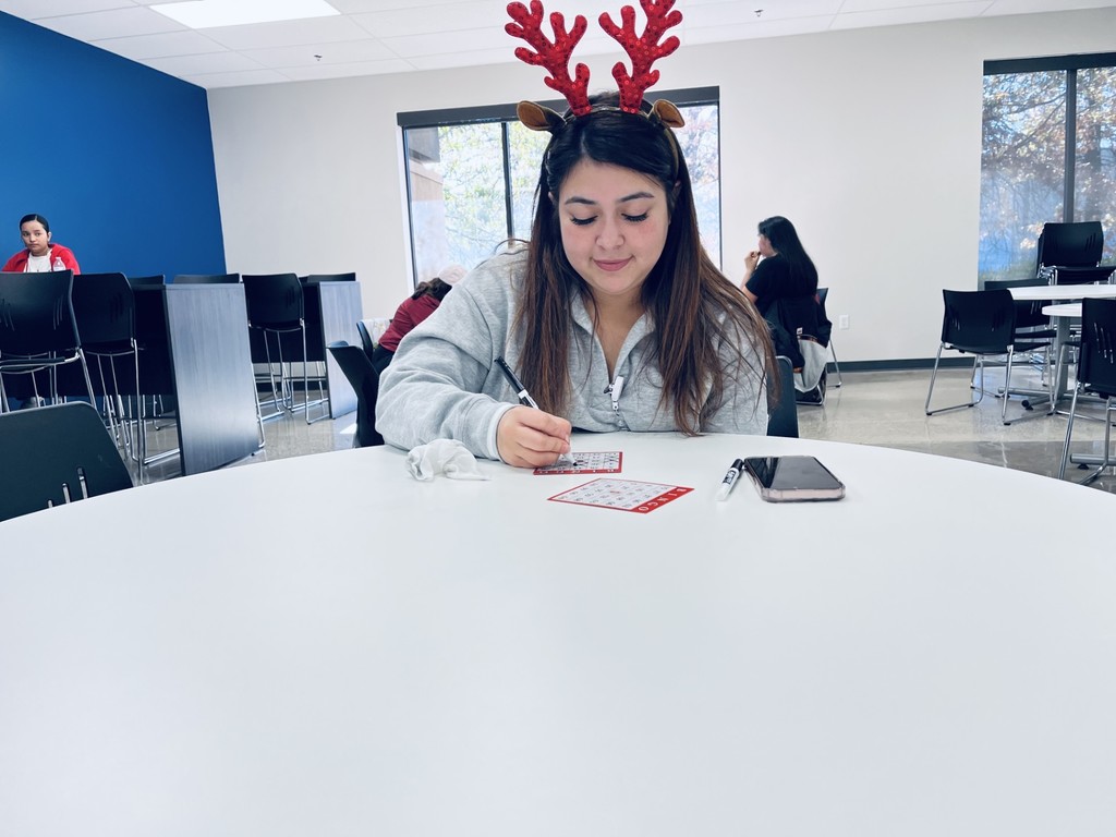 Idalia's Christmas Headshot
