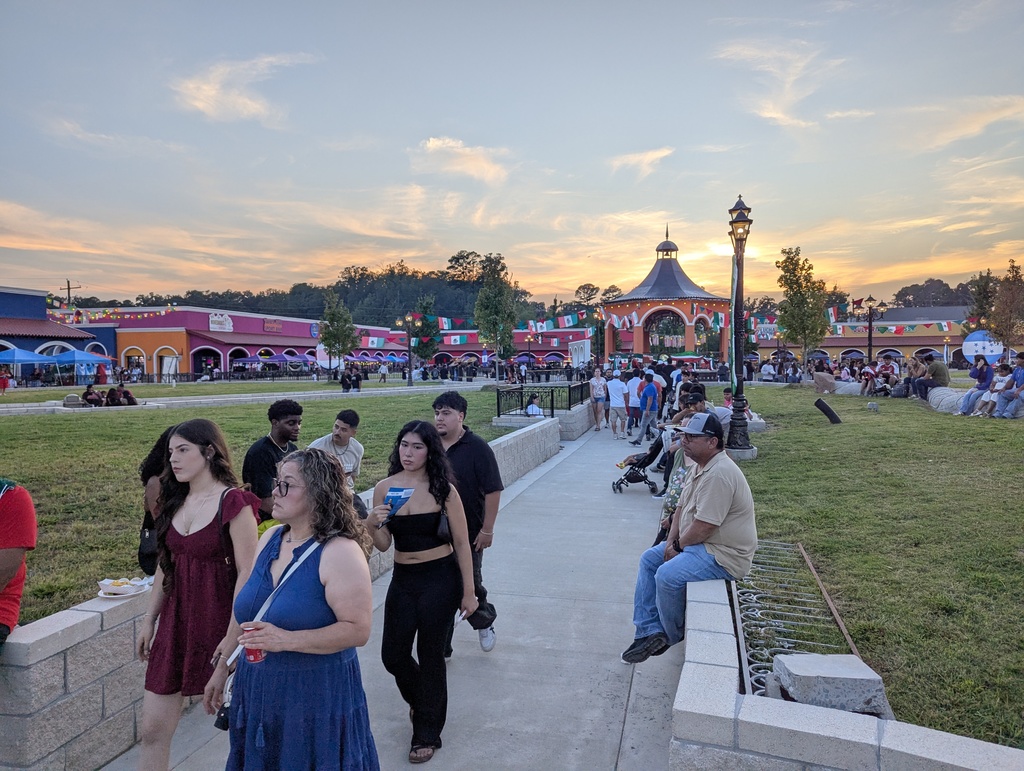 Photo of Crowd at Festival