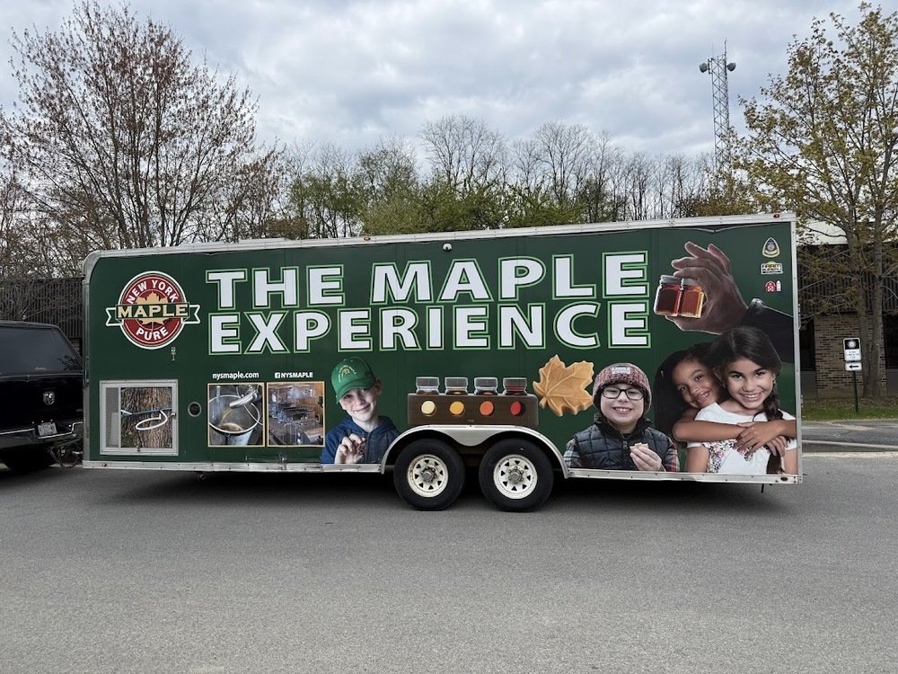 Maple Mobile Experience