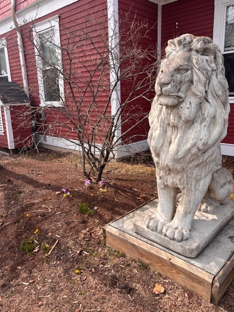 spring lion