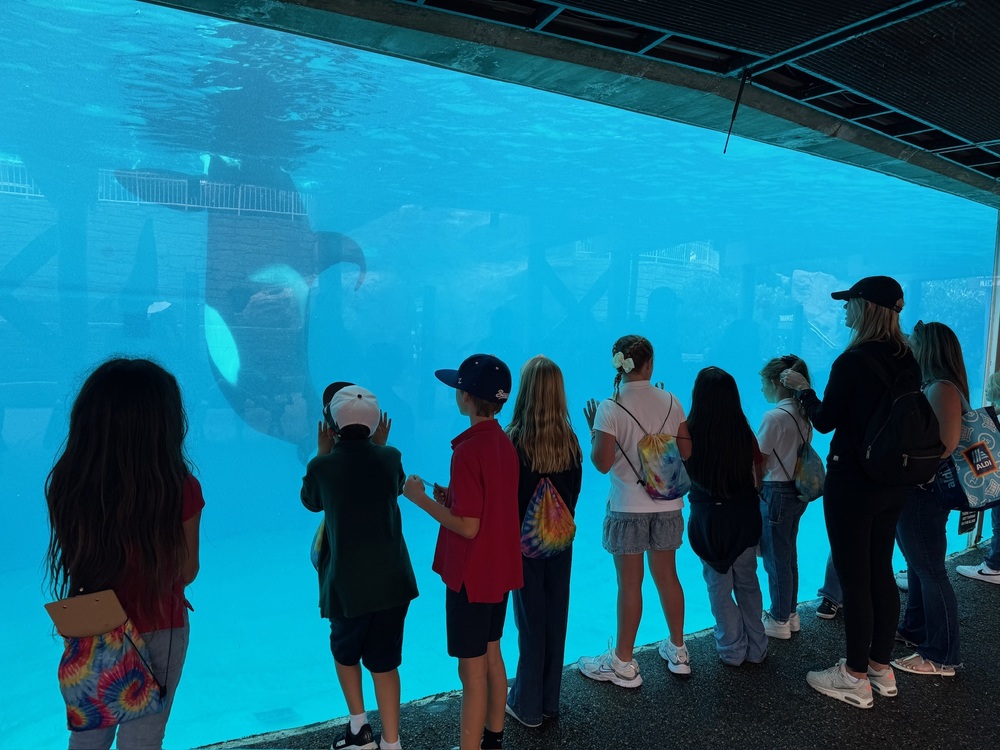 Sea World