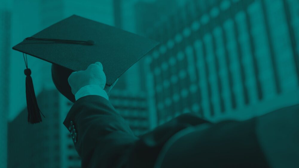 What are Professional Development Organizations (PDOs)?