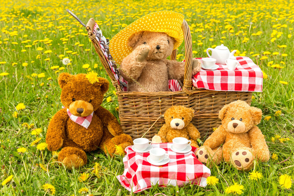 teddy bear picnic