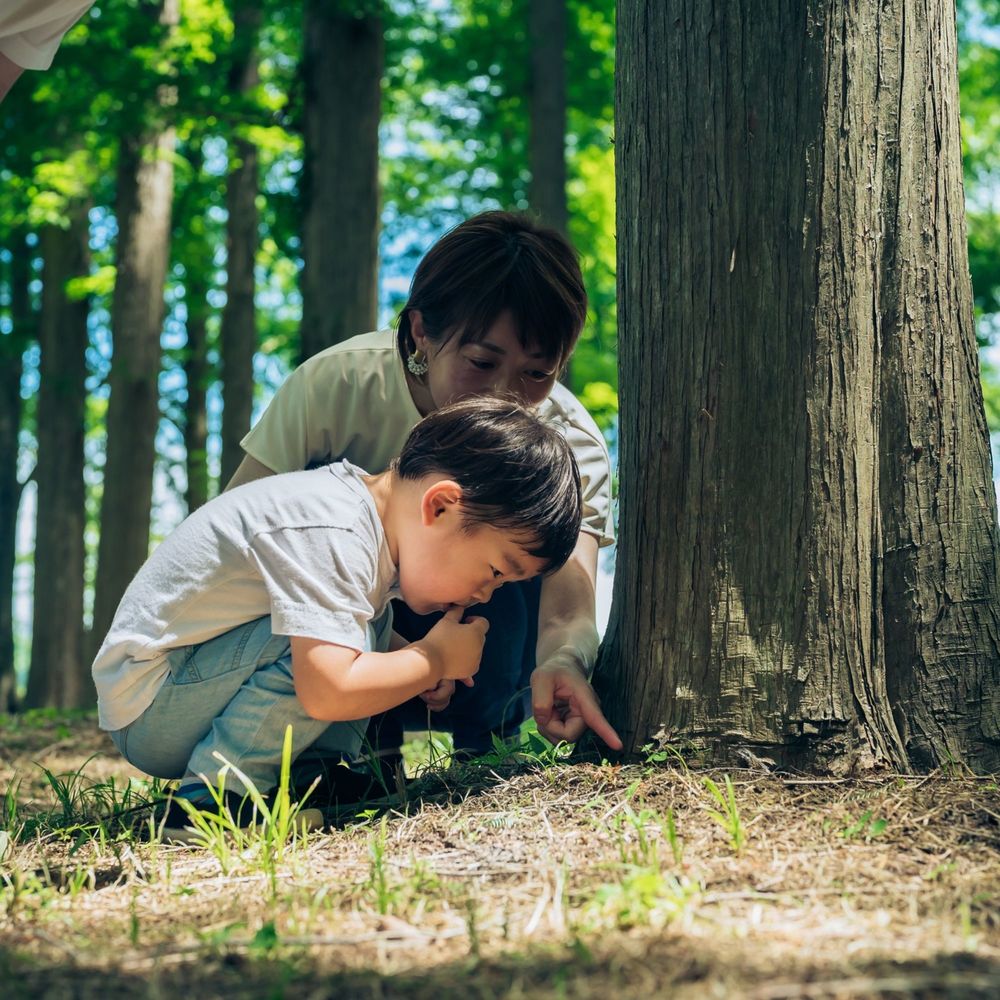 Prek boy and woman in forest looking at ground with woman pointing